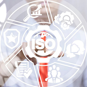 ISO Standards Management